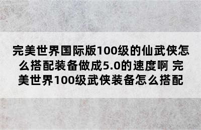 完美世界国际版100级的仙武侠怎么搭配装备做成5.0的速度啊 完美世界100级武侠装备怎么搭配